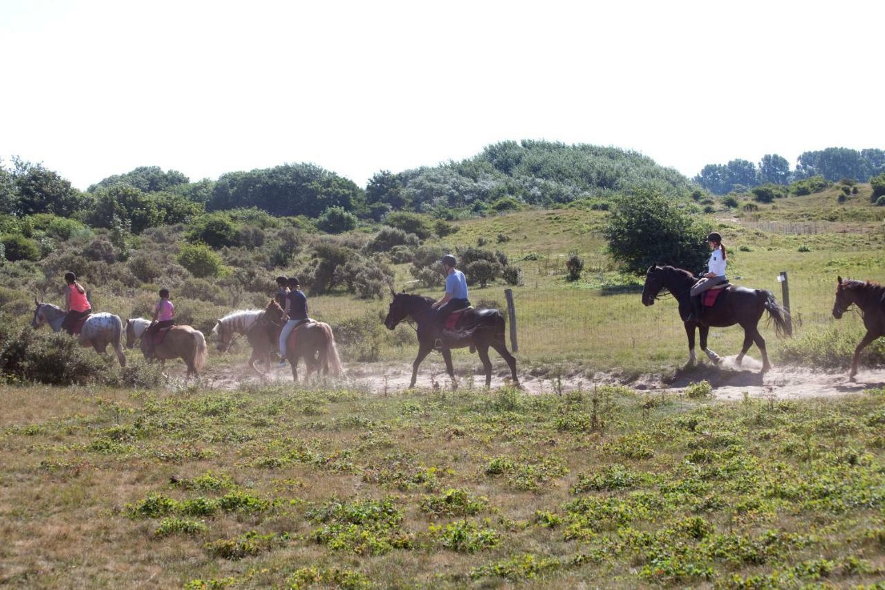 Appartementen - Bungalowpark Mooyeveld - Uniek Gelegen In De Duinen! 艾格蒙宾能 外观 照片