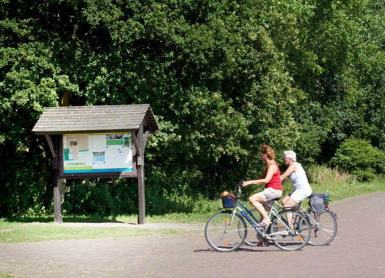 Appartementen - Bungalowpark Mooyeveld - Uniek Gelegen In De Duinen! 艾格蒙宾能 外观 照片